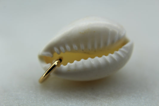 Cowrie Seashell Charm