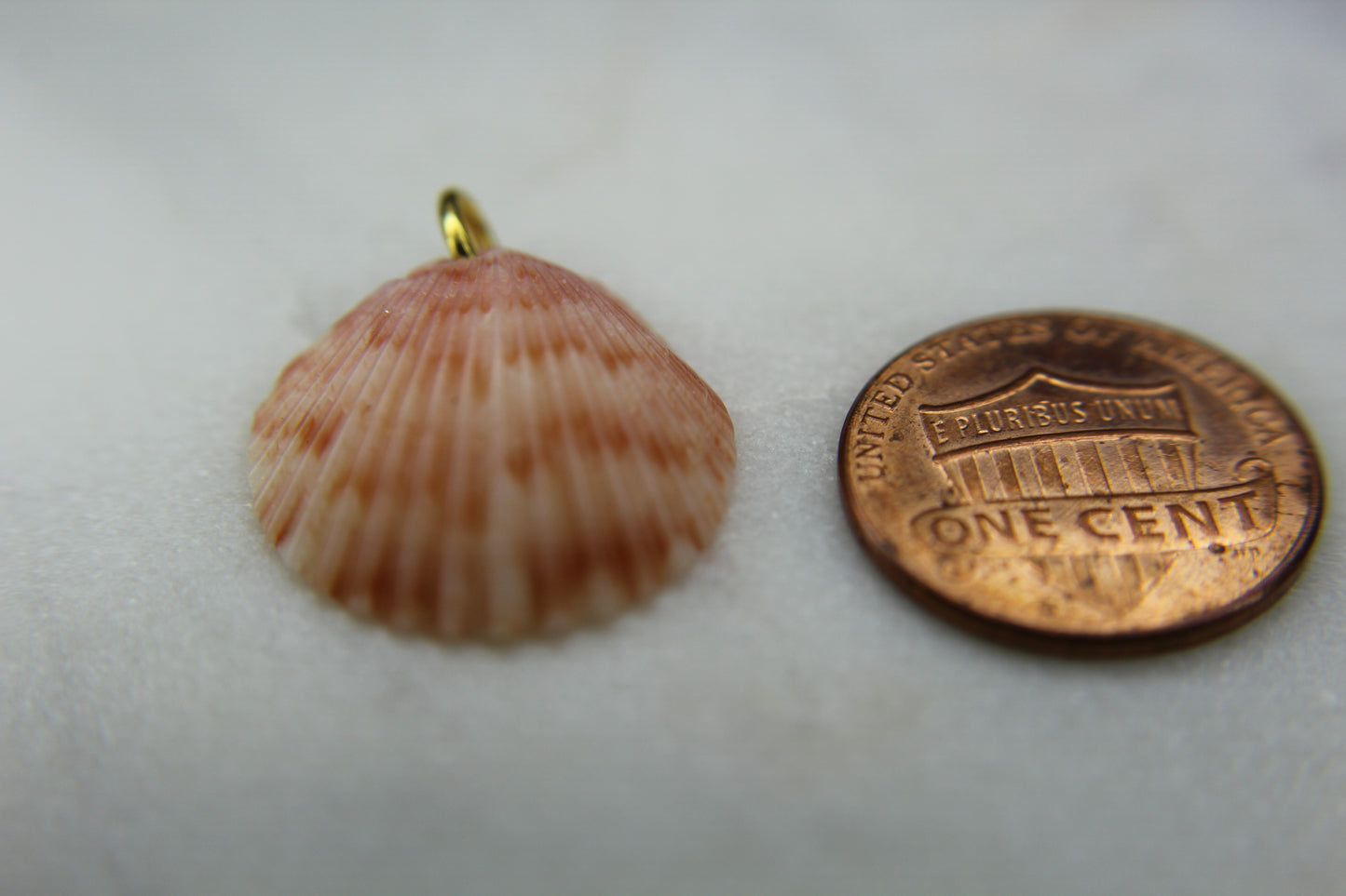 Scallop Seashell Charm