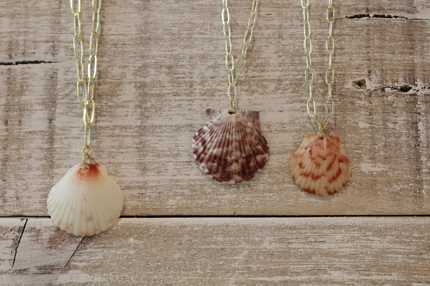 Scallop Seashell Charm